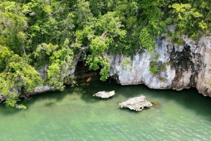 Los Haitises: Boat Excursion and Walking Tour with Lunch