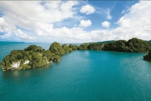 Los Haitises: Boat + Lunch at the beach & Natural pools