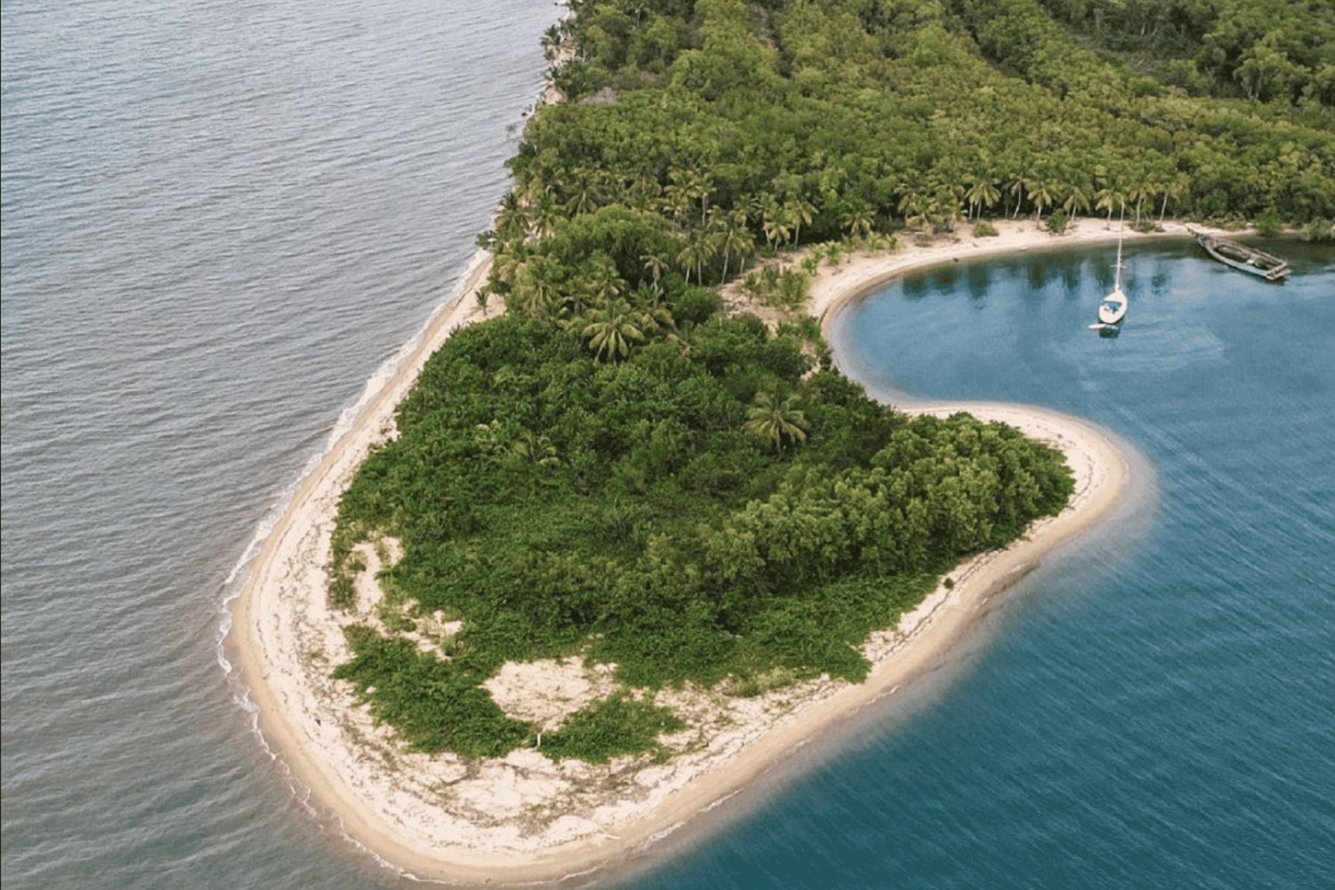 Tour en bateau de Los Haitises + piscines naturelles de Caño Hondo