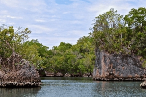 Los Haitises båtresa + Caño Hondos naturliga pooler