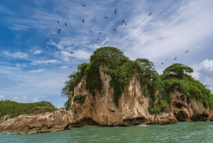 Los Haitises båtresa + Caño Hondos naturliga pooler