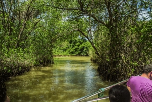 Los Haitisesin veneretki + Caño Hondon luonnonaltaat