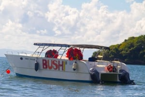 Los Haitises: Cayo Levantado, Haitises i pokoje typu deluxe
