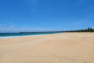 Los Haitises & Esmeralda Beach + Montana Redonda