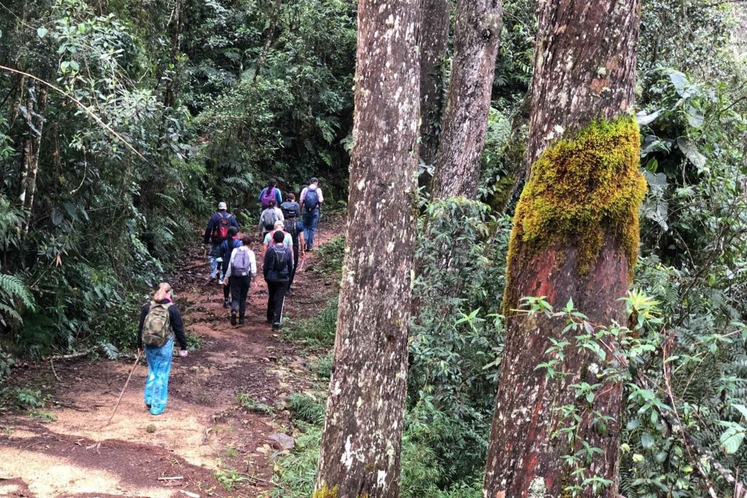 Los Haitises: Guided Kayak Tour with Local Guide