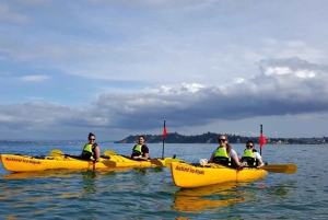 Los Haitises: Guided Kayak Tour with Local Guide