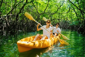 Los Haitises: Hiking and Kayaking natural pools Tour & Lunch