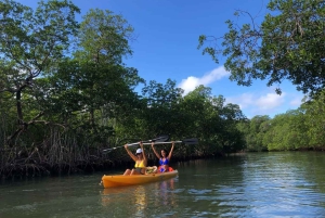 Los Haitises: Kayak and Zipline experience and lunch