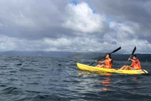 Los Haitises: Kayak and Zipline experience and lunch