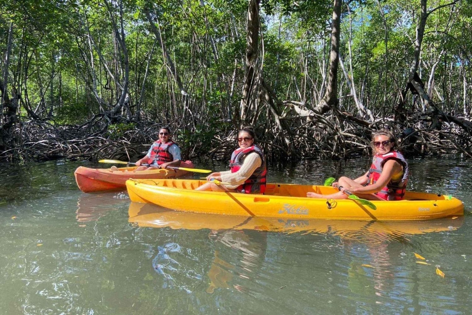 Los Haitises: Kayaking, Hiking, and Caving Tour with Lunch