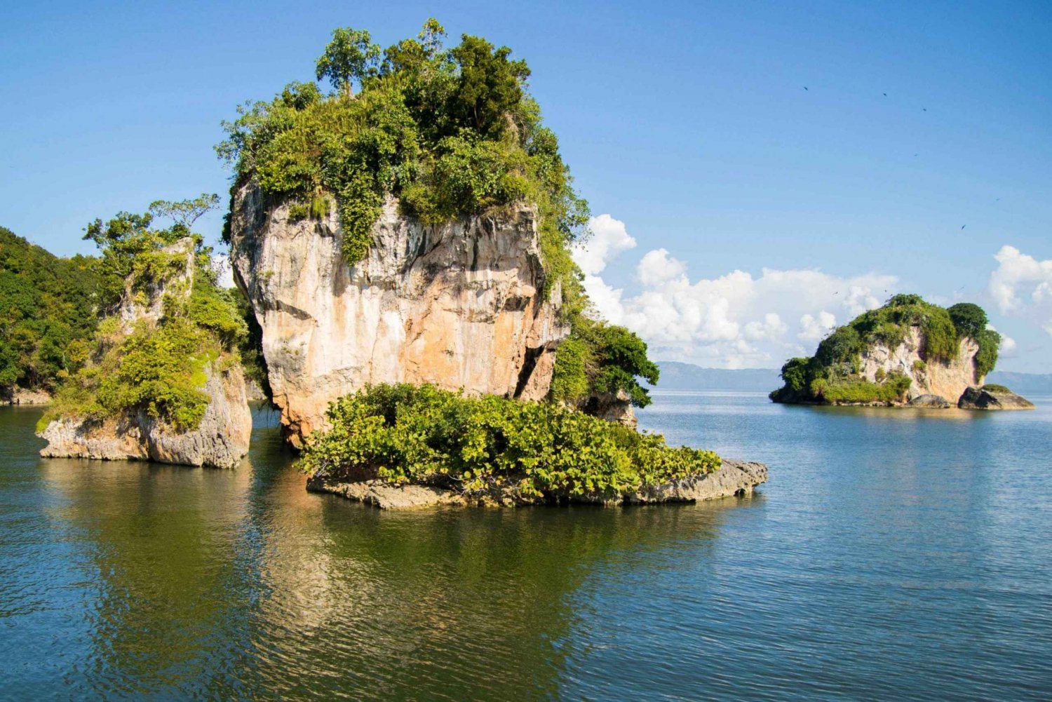 Los Haitises National Park: Boat and Walking Tour with Lunch