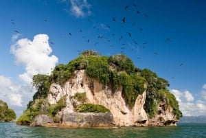 From Samana: Los Haitises Boat and Walking Tour with Lunch