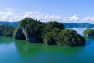 Los Haitises National Park: Boat and Walking Tour with Lunch