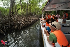 Parque nacional Los Haitises: tour en barco y a pie con almuerzo