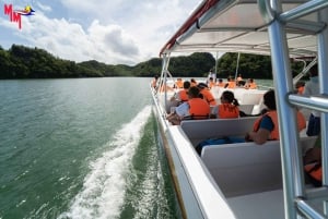 Parque nacional Los Haitises: tour en barco y a pie con almuerzo