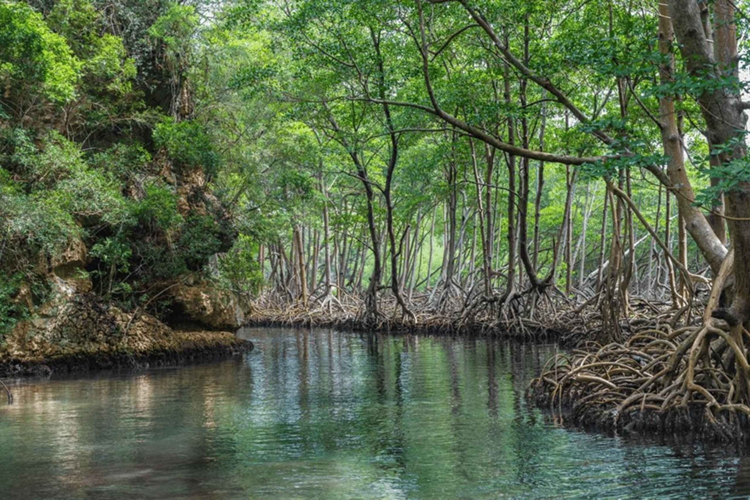 Los Haitises National Park: Boat Tour and Cave Visit