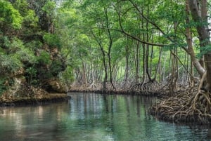 Los Haitises Nationalpark: Bådtur og grottebesøg