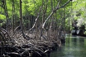 Los Haitises Nationalpark: Bådtur og grottebesøg