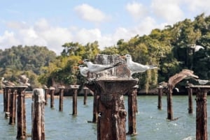 Los Haitises Nationalpark: Bådtur og grottebesøg