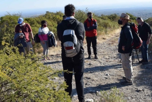Los Haitises National Park: Kayaking and Hiking Tour