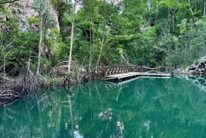 Los Haitises National Park: Private Boat Tour from Caño