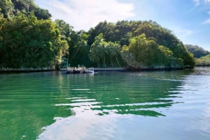 Los Haitises National Park: Private Boat Tour from Caño