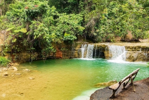 Nationaal Park Los Haitises + Yanigua waterval + Redonda berg