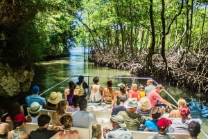 Nationalparken Los Haitises + vattenfallet Yanigua + berget Redonda