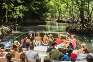 Los Haitises Park, Yanigua Waterfall, & Montaña Redonda Tour