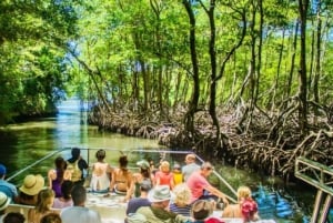Los Haitises e aventura na cachoeira – dia inteiro saindo de Punta Cana