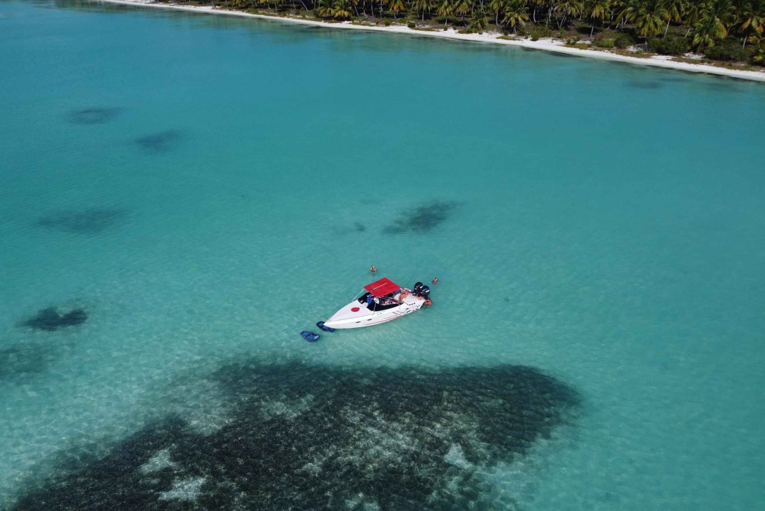 Luxury Mini Yacht Private Cruise in Cotubanamá National Park