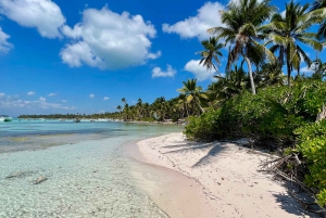 Croisière privée en mini-yacht de luxe dans le parc national de Cotubanamá