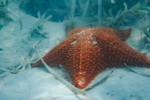 Luxury Mini Yacht Private Cruise in Cotubanamá National Park