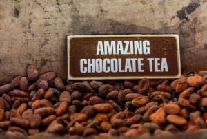 Plaża Macao: Buggy Safari i pływanie w Cenote z odbiorem