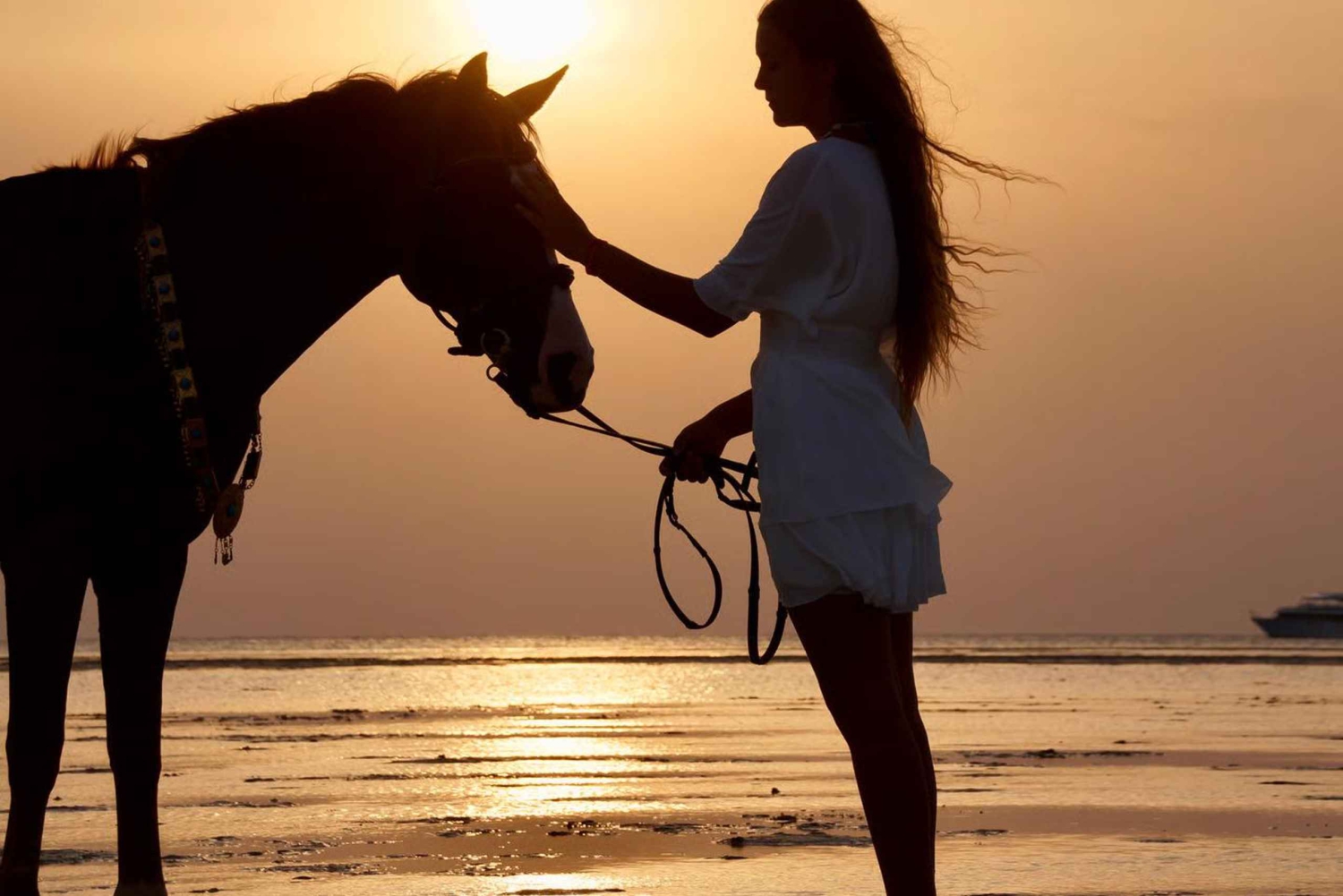 Makadi Bay: Horse Riding in Desert & Sea w Guide + Transfers