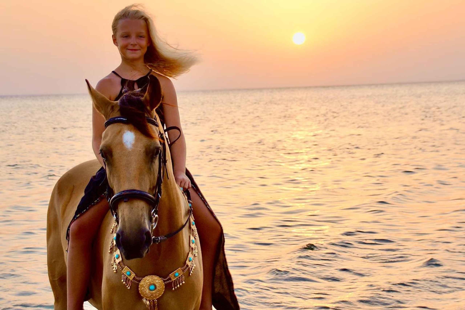 Makadi Bay: Horse Riding in Desert & Sea w Guide + Transfers
