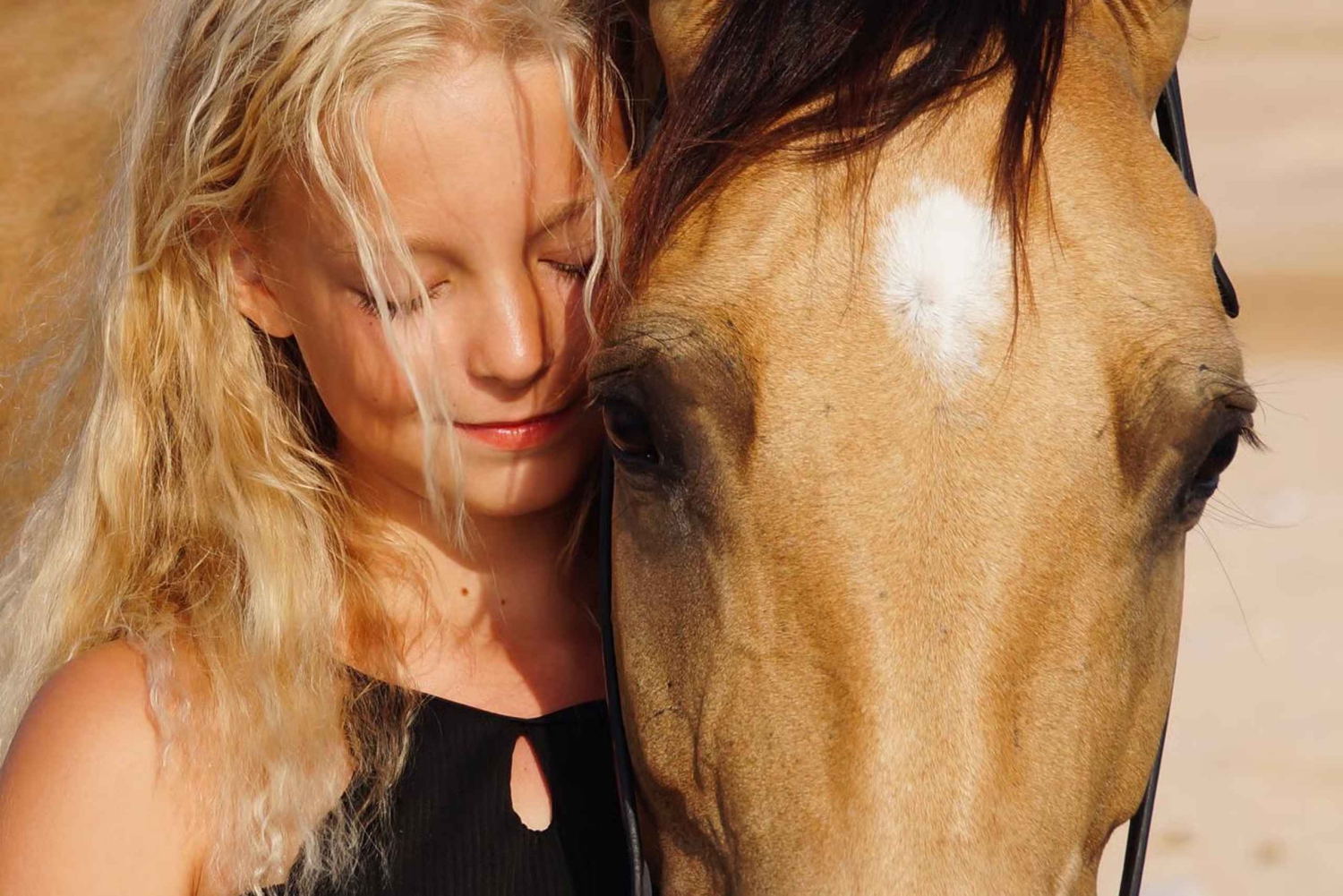 Makadi Bay: Horse Riding in Desert & Sea w Guide + Transfers