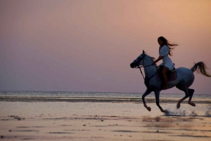 Makadi Bay: Horse Riding in Desert & Sea w Guide + Transfers
