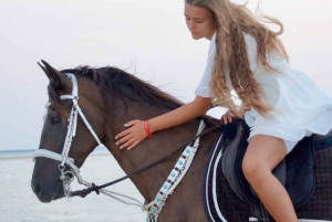Makadi Bay: Horse Riding in Desert & Sea w Guide + Transfers