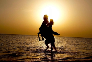 Makadi Bay: Horse Riding in Desert & Sea w Guide + Transfers