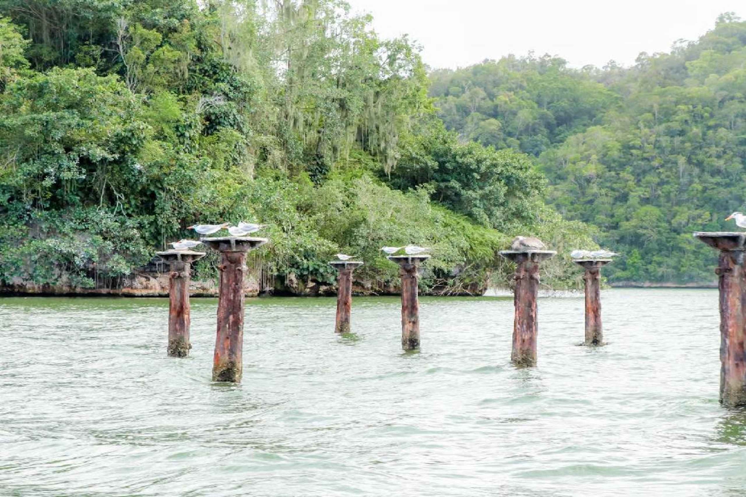 Mangrovie, mogotes e montagne da Punta Cana