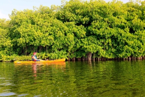 Miches: El Limón Lagoon Guided Kayak Tour with Guide