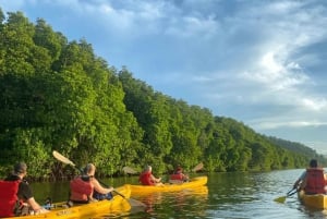 Miches: El Limón Lagoon Guided Kayak Tour with Guide