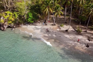 Miches: Half Day Whale Watching Catamaran Tour with Snacks