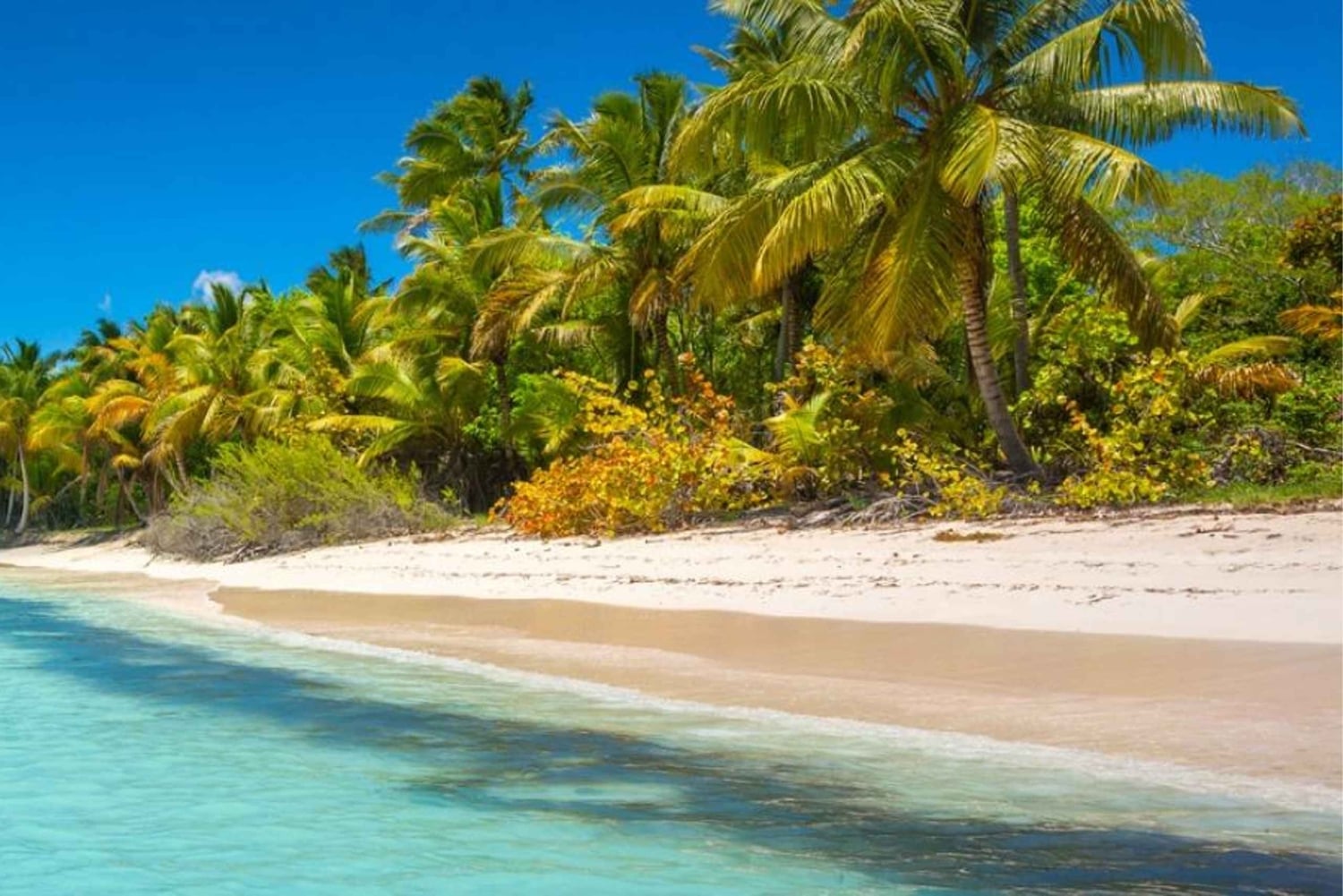 Miches: excursión de 1 día a Isla Saona con catamarán y almuerzo