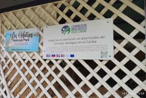 Miches: Los Haitises, Transfer, Walking & Boat tour.