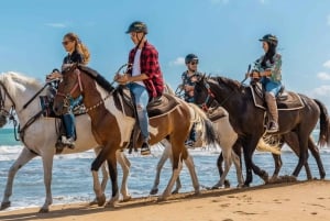 Miches: Montaña Redonda, chocoladefabriek en paardrijden