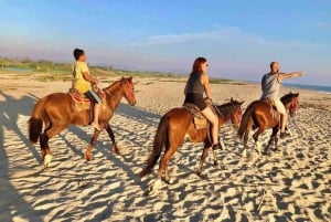 Miches: Montaña Redonda, chocoladefabriek en paardrijden