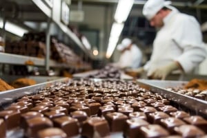Miches: Montaña Redonda, chocoladefabriek en paardrijden