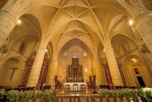 Miches: Santo Domingo Guided Tour with Lunch